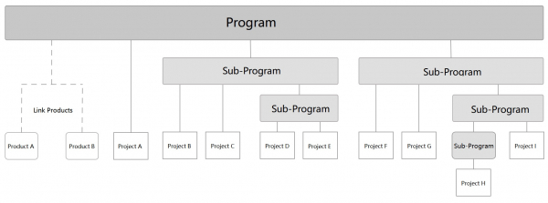 program and project